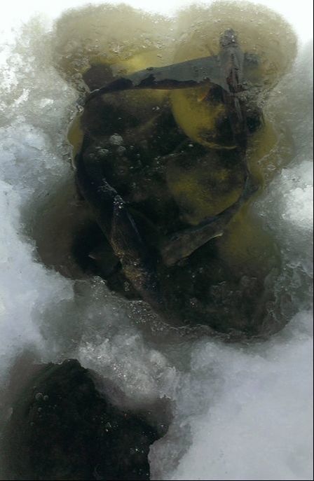 https://www.redlakemuseum.com/uploads/2/9/6/8/29683319/published/fish-under-the-ice.jpeg?1490910171